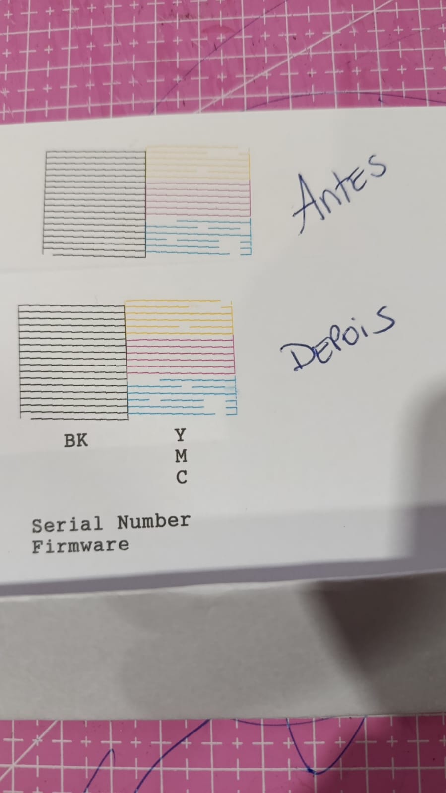 Anexo técnico